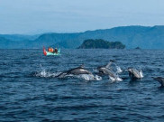 Pantai di Lampung ini Wajib Kamu Datangi!
