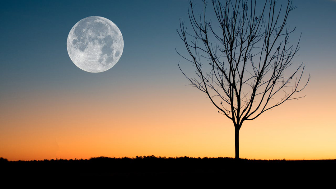 Fenomena ‘Bulan Kembar’, BRIN Ungkap Faktanya