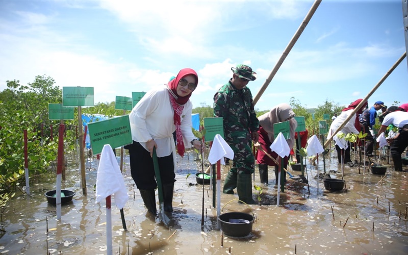 Shobibah Nahrawi