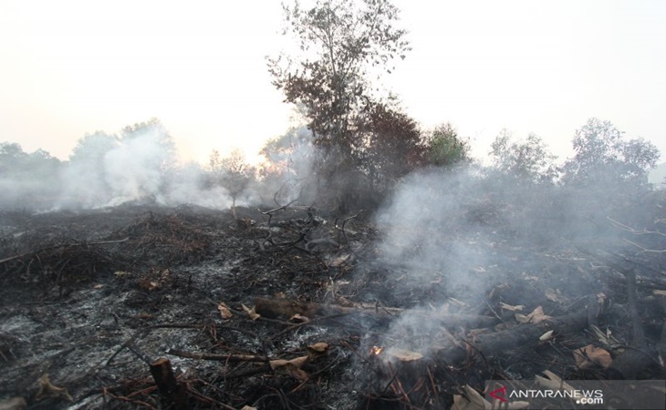 Kebakaran lahan dan hutan di Kalimantan Selatan