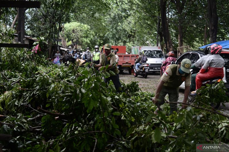 Badai Angin Kencang Masih Ancam Jabodetabek Hingga Dua Hari Lagi