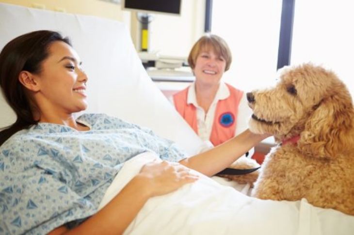 Anjing dikenal sebagai binatang yang setia. (Foto: Bestlife)