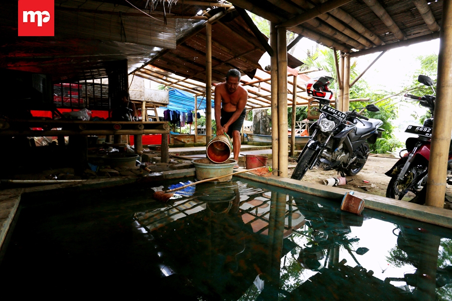 Cacing Sutra Jadi Sumber Penghasilan Warga Bantaran Sungai Cisadane
