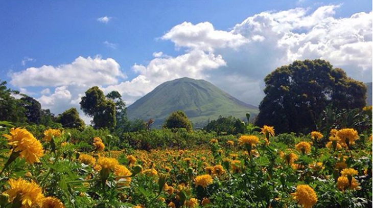 Tomohon International Flower Festival, Parade Seru Bertabur Bunga