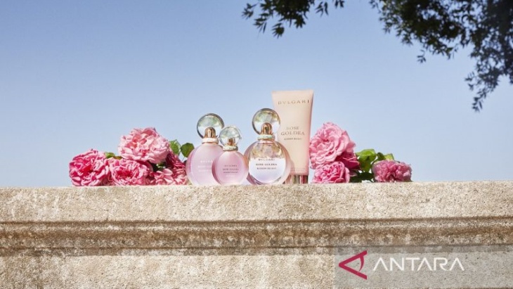 Bvlgari Perkenalkan Parfum Baru Rose Goldea Blossom Delight