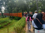Tebet Eco Park Ditutup hingga Akhir Juni