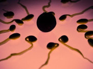 Ingin Kualitas Sperma Baik? Ini Caranya