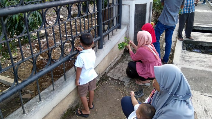 cirebon