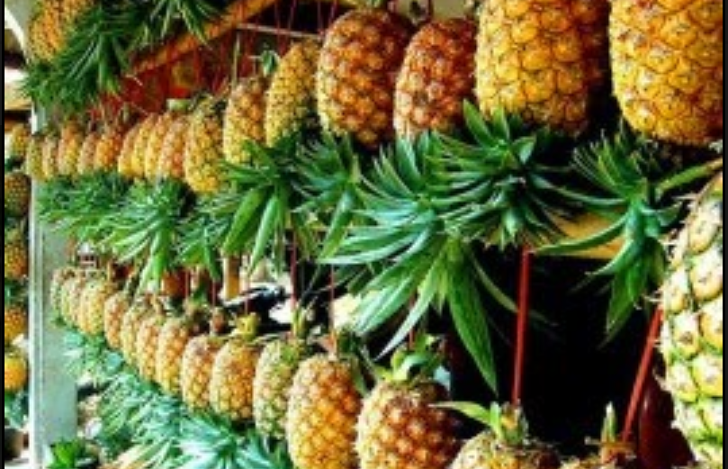 Lapak penjual buah nanas di lereng Gunung Kelud