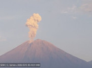 Semeru 11 Kali Erupsi, Tinggi Letusan hingga 1.200 Meter