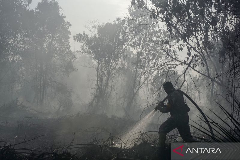 Prabowo Kirim 1.200 Prajurit TNI dari Jawa ke Kalimantan Perang Lawan Asap