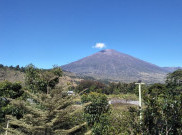 Pendaki Pemula Dilarang Naik Rinjani, Harus Grade 4 Dibuktikan Lewat Sertifikat Atau Foto