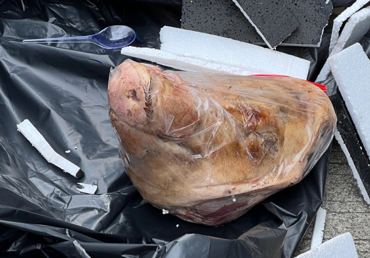 Tempo Kembali Dapat Kiriman Bangkai Hewan, Kali Ini Tikus dengan Kepala Terpenggal