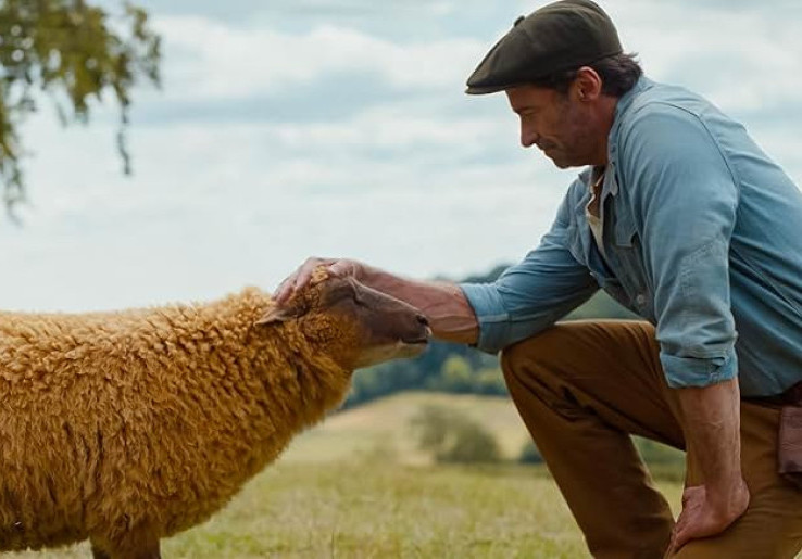 Film The Sheep Detectives, Kisah Para Domba Pecahkan Misteri Kematian Hugh Jackman