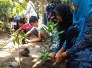 Komisi D Tolak Usulan Dinas Kehutanan Rp30 M untuk Anggaran Bibit Pohon