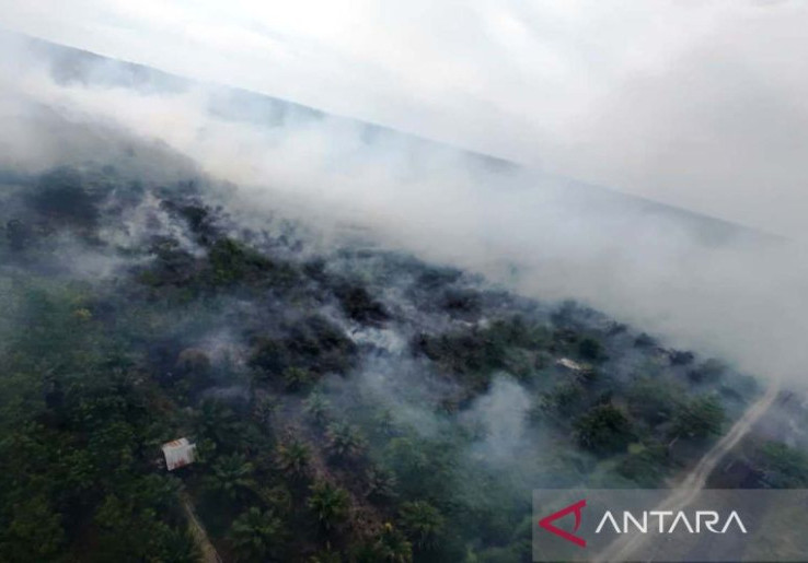 Karhutla di Aceh Barat Berpotensi Terus Meluas, BMKG Ingatkan Masyarakat Waspada Sepekan Ke Depan