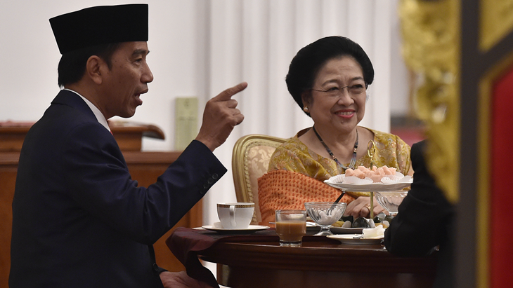 Megawati Ulang Tahun Ke-71, Ini Pesan untuk Jokowi