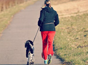 Menyenangkan Berolahraga Bareng Anjing Peliharaan