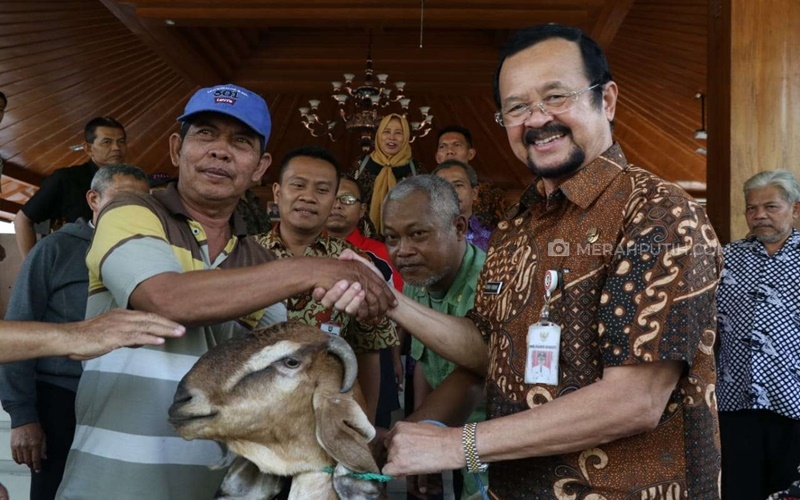 Wawali Solo Penuhi Janjinya Serahkan 101 Kambing untuk TPS dengan Pemilih 92 Persen