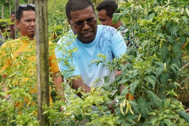 Tito Perintahkan Kepala Desa Gagas Tanam Cabai dan Bawang Merah