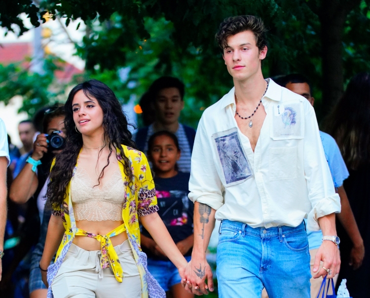 Pandemi Justru Membuat Kondisi Mental Camila Cabello Membaik