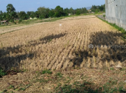 Kekeringan di Wilayah Kulonprogo Masuk Level Bahaya