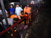 Bangun Rumah Panggung di Kawasan Banjir Dikritik, Ini Kata Wagub Riza