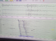 29 Kecamatan di Banten Terdampak Gempa, BPBD Belum Terima Laporan Korban Jiwa