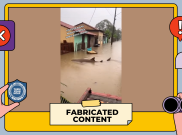 [HOAKS atau FAKTA]: Efek Banjir Sumatra Barat, Ikan Hiu Sampai Masuk ke Pemukiman Warga di Padang