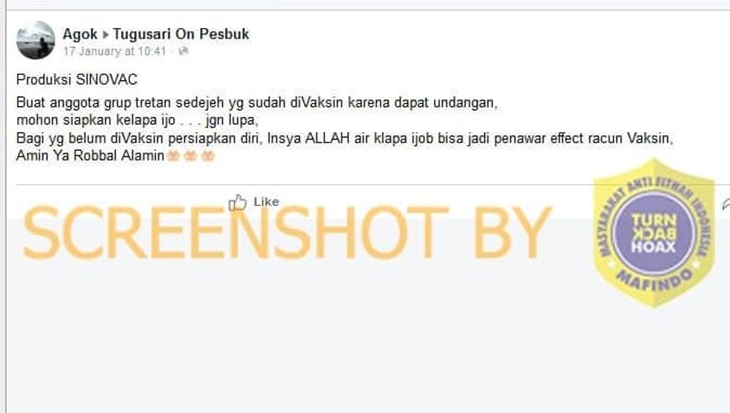 [HOAKS atau FAKTA]: Penting Minum Air Kelapa Setelah Divaksin untuk Bersihkan Racun