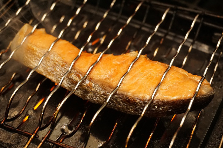 salmon