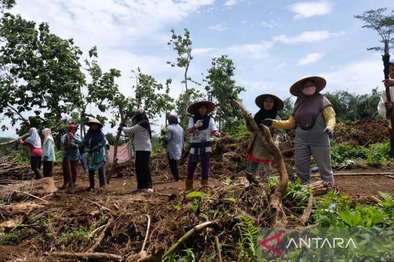 Warga Terkena Proyek Tol Bawen-Yogya, Mantan Kades Hibahkan Tanah Buat Pemukiman