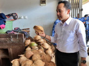 Ekspor ke China Bikin Harga Kelapa di Solo Naik hingga Rp 12.000 per Butir