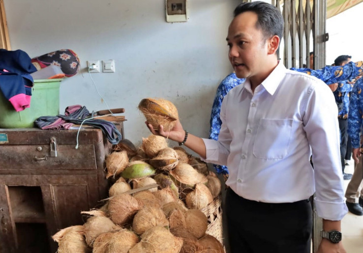 Ekspor ke China Bikin Harga Kelapa di Solo Naik hingga Rp 12.000 per Butir