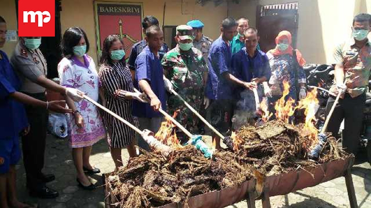 Puluhan Kilogram Ganja Asal Aceh Dimusnahkan di Patumbak