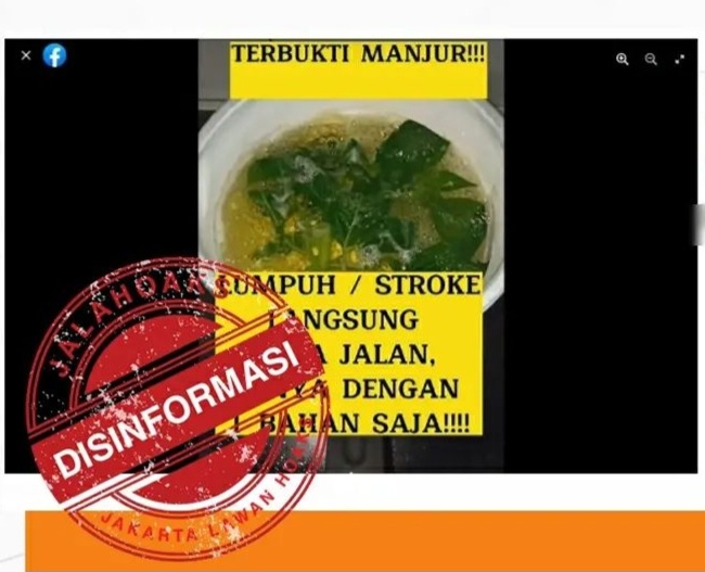 [HOAKS atau FAKTA]: Daun Ciplukan Bisa Sembuhkan Stroke