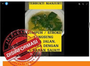 [HOAKS atau FAKTA]: Daun Ciplukan Bisa Sembuhkan Stroke