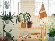 IKEA Indonesia Rilis Koleksi 'DAKSJUS' untuk Hobi Berkebun 