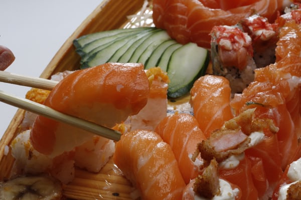 Salmon