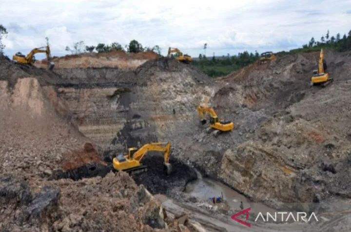 IUP Perusahaan Dipailitkan Bakal Dicabut Kementerian ESDM