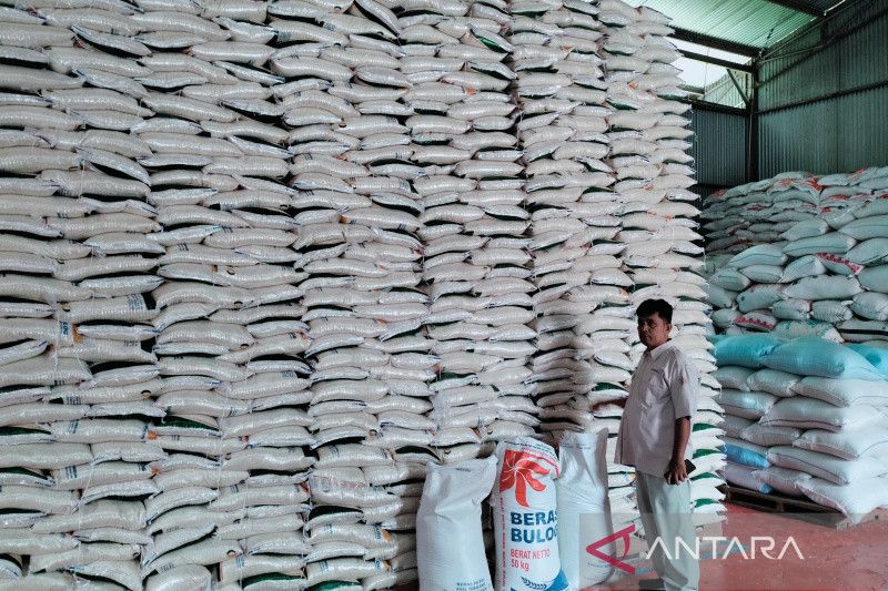Bulog Cadangkan Beras Impor 