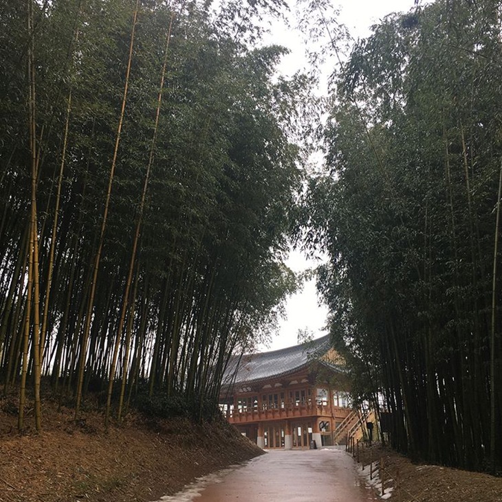 Hutan bambu di Juknokwon Bamboo Park. (Foto: instagram.com/soohyun8615)
