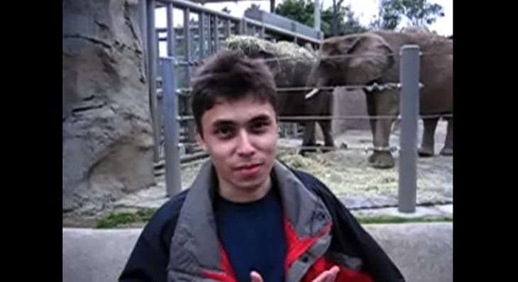 gajah