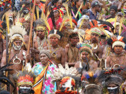Mengenal Upacara Perdamaian Bakar Batu Papua 