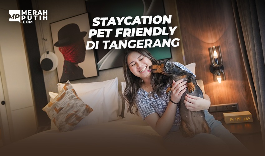 Staycation Pet Friendly Di Tangerang 