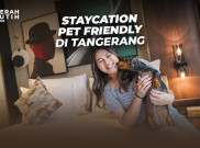 Staycation Pet Friendly Di Tangerang 