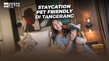 Staycation Pet Friendly Di Tangerang 