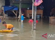 Banyak Buaya dan Ular, Anak-Anak Pangkalpinang Dilarang Main Banjir Rob