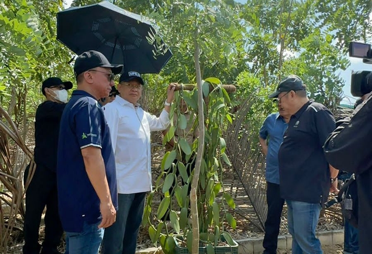 Ketua MPR RI Bambang Soesatyo melakukan kunjungan ke perkebunan pembibitan vanili di Tanjung Lesung, Pandeglang, Banten. (Foto: JHL Group Doc)