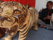 Puluhan Jerat Harimau Ditemukan di TNKS